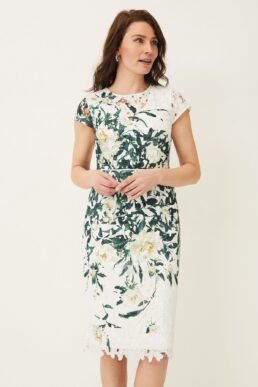 Coast Claudine Floral Lace Shift Dress Ivory Green