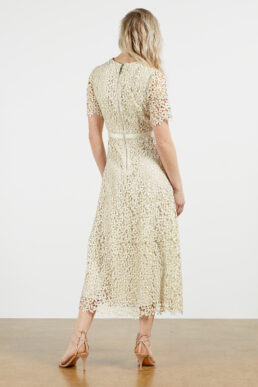 Ted Baker ALDORRA Midi lace dress Cream Neutral