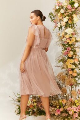 Coast Curve Shoulder Ruffle Mesh Pleated Midi Dress Light Pink Blush
