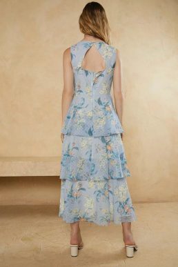 Oasis Embroidery Printed Floral Sleeve Maxi Dress Blue Multi