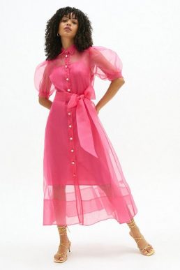 Coast Organza Puff Sleeve Shirt Dress Pink