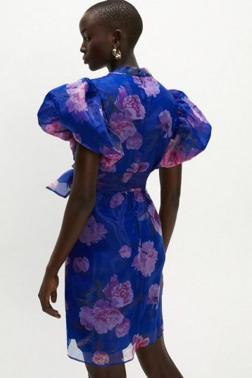 Coast High Neck Floral Organza Puff Sleeve Dress Blue Pink Multi