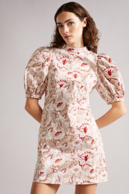 Ted Baker NADDIA Retro Flood Printed Puff Sleeve Mini Dress Red Beige