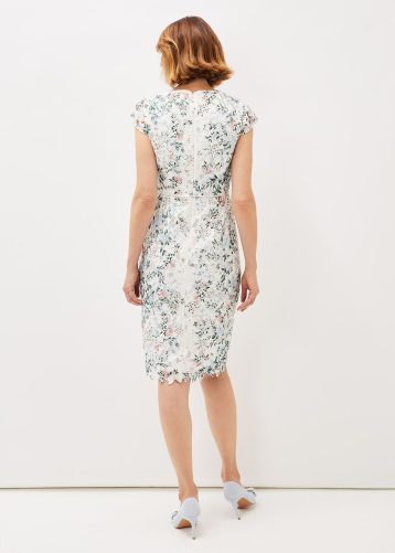 Phase Eight Franky Floral Lace Fitted Dress Ivory Multi