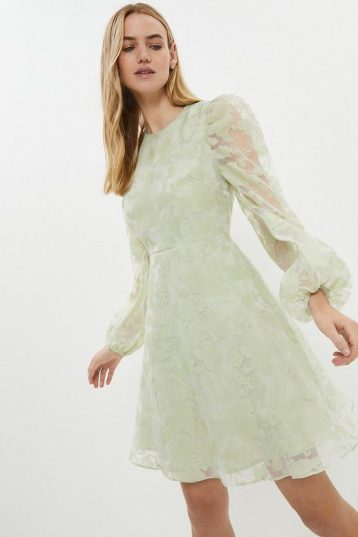 Coast Button Back Organza Burn Out Skater Dress Pale Green