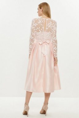 Coast Embroidered Bodice Satin Skirt Dress Pink Blush