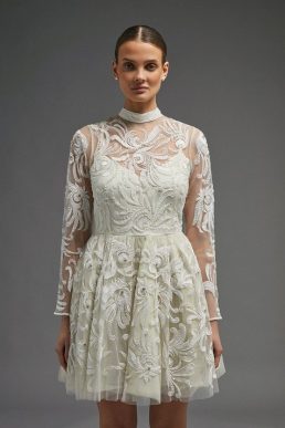 Coast Premium Ls Embellished Mini Dress Ivory