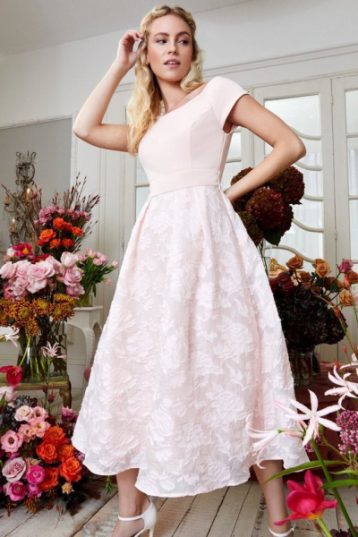 Coast Petite Embroidered Midi Dress Light Pink Blush