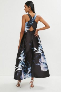 Coast ivory floral top print skirt dress