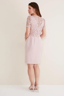 Phase Eight Isabella Lace Dress Antique Rose Blush