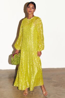 Never Fully Dressed Lime Animal Jacquard Long Sleeve Bibi Dress