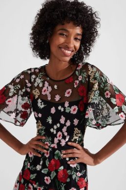 Hobbs Dana Embroidered Dress Red Black