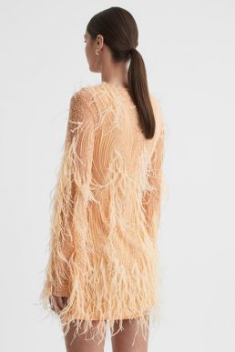 Reiss Aster Rachel Gilbert Embellished Feather Mini Dress Blush