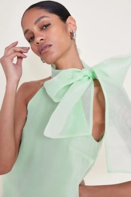 Monsoon Vera organza top green