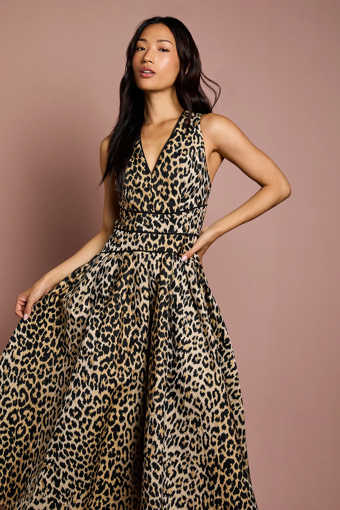 Coast V Neck Animal Jacquard Midi Dress