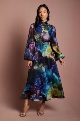 Coast Long Sleeve Scallop Cut Out Detail Organza Midi Dress Navy Multi