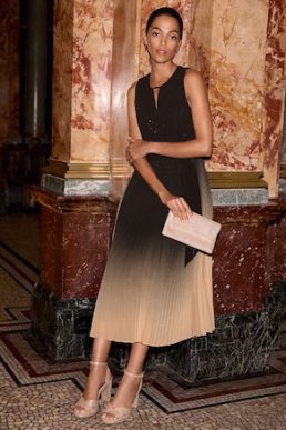Phase Eight Simara Ombre Dress Brown Multi