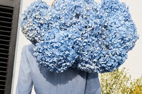 blog-small WEDDING GUEST WEEKEND STYLE