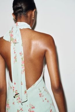 Reformation Floral Chanelle Dress Dana Blue Pink Multi